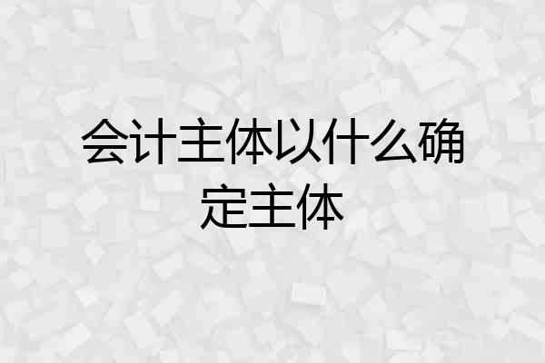 会计主体以什么确定主体