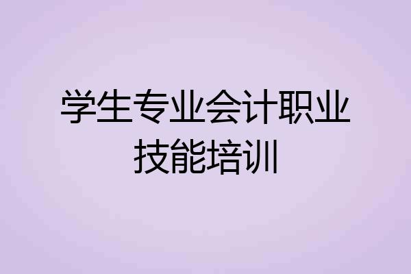 学生专业会计职业技能培训
