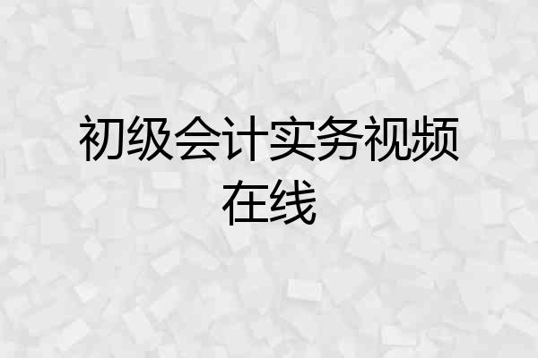 初级会计实务视频在线
