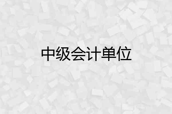 中级会计单位