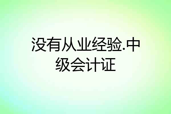 没有从业经验.中级会计证