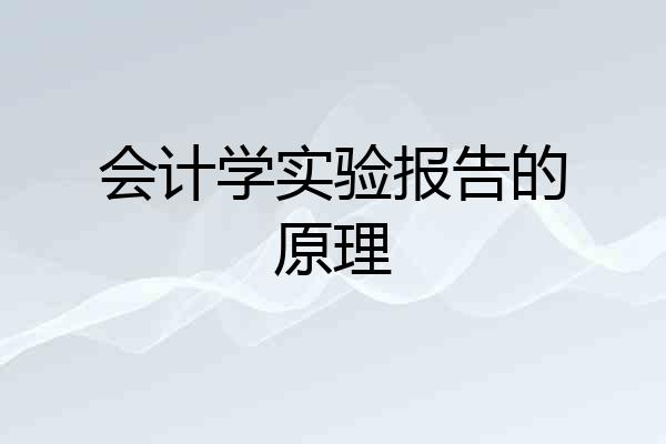 会计学实验报告的原理