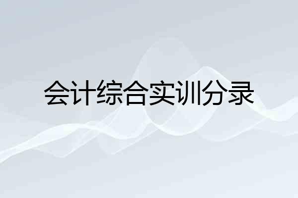 会计综合实训分录