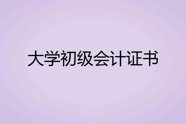 大学初级会计证书