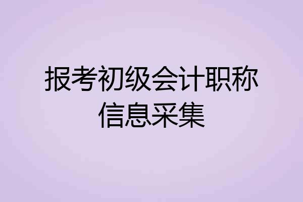 报考初级会计职称信息采集