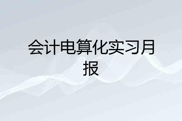 会计电算化实习月报