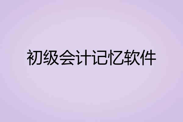 初级会计记忆软件