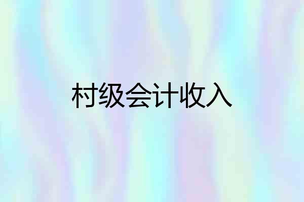 村级会计收入