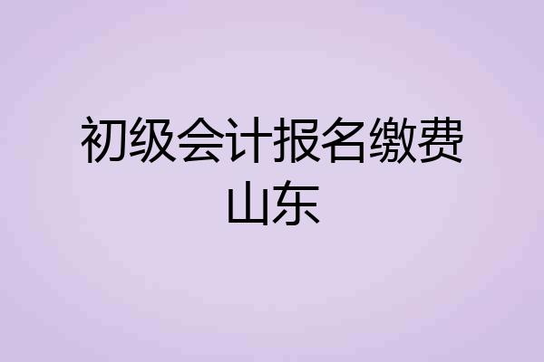 初级会计报名缴费山东