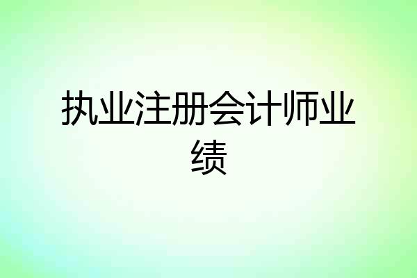 执业注册会计师业绩
