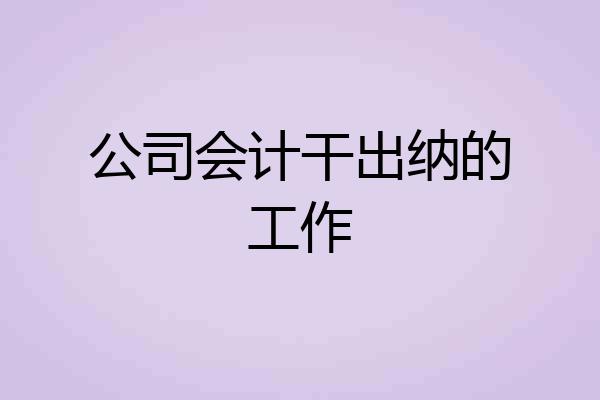 公司会计干出纳的工作