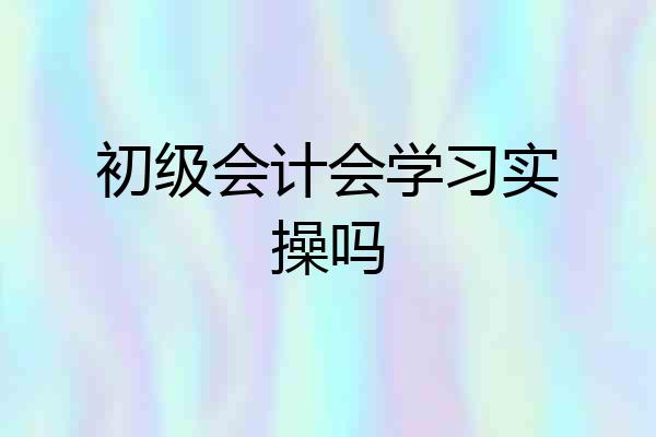 初级会计会学习实操吗