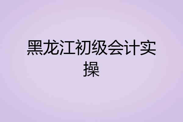 黑龙江初级会计实操