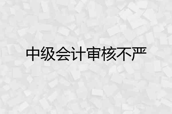中级会计审核不严