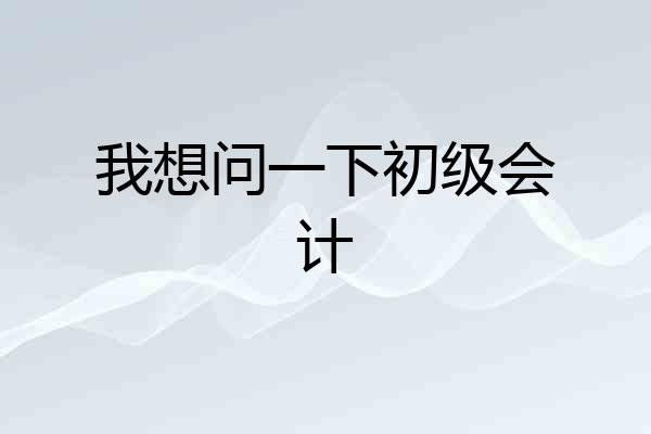 我想问一下初级会计