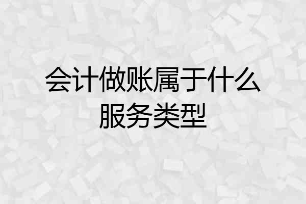 会计做账属于什么服务类型