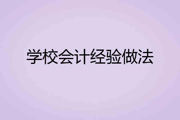 学校会计经验做法