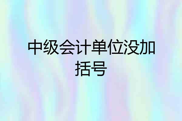 中级会计单位没加括号