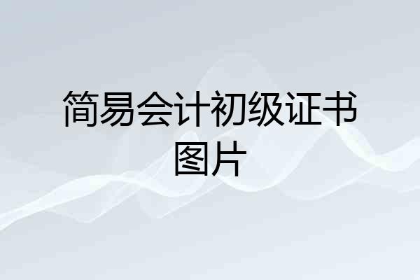 简易会计初级证书图片
