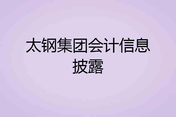 太钢集团会计信息披露