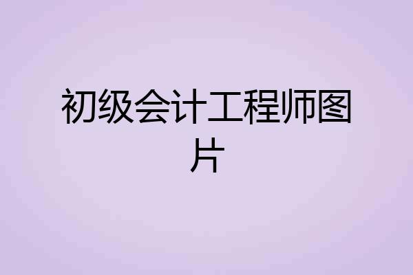 初级会计工程师图片