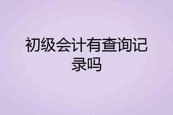 初级会计有查询记录吗