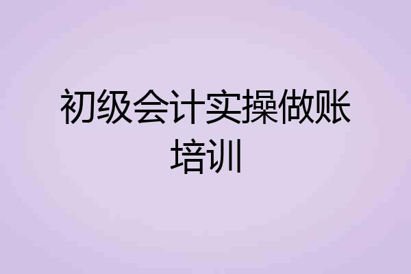 初级会计实操做账培训