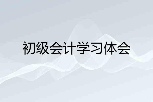 初级会计学习体会