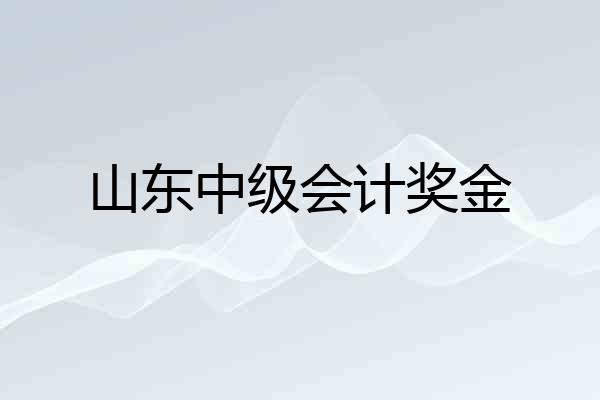 山东中级会计奖金