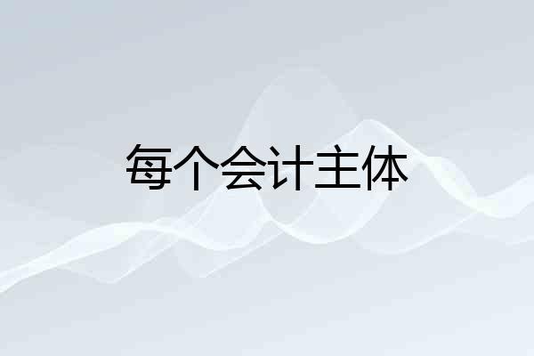 每个会计主体