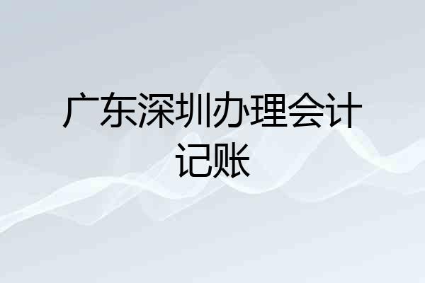 广东深圳办理会计记账