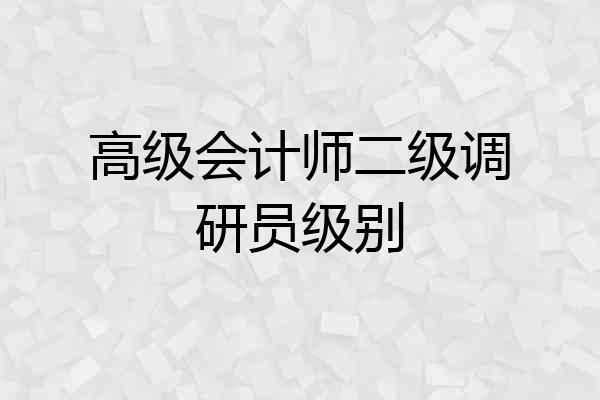 高级会计师二级调研员级别