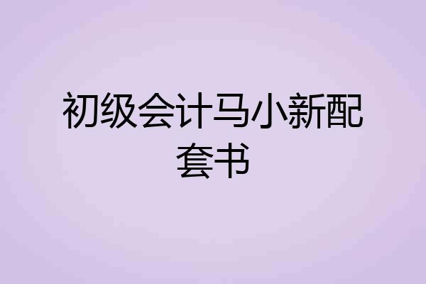 初级会计马小新配套书