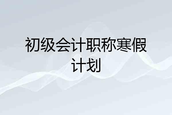 初级会计职称寒假计划