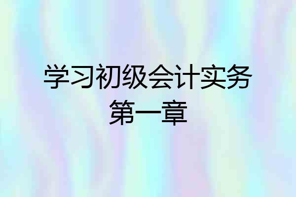 学习初级会计实务第一章
