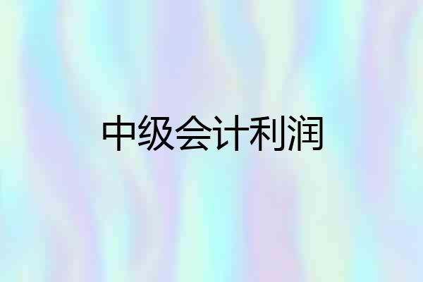 中级会计利润