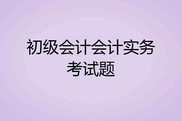 初级会计会计实务考试题