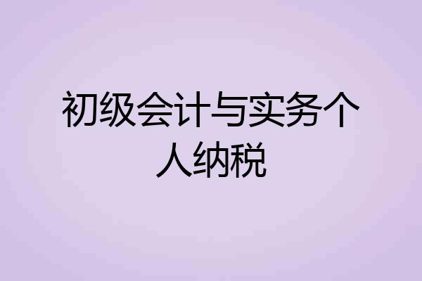 初级会计与实务个人纳税