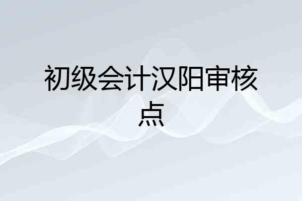 初级会计汉阳审核点