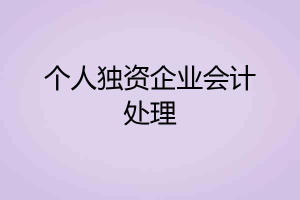 个人独资企业会计处理