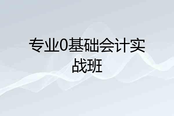 专业0基础会计实战班