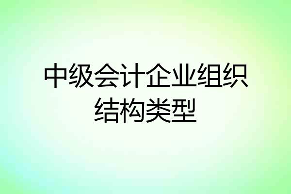中级会计企业组织结构类型