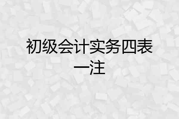 初级会计实务四表一注