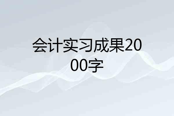 会计实习成果2000字