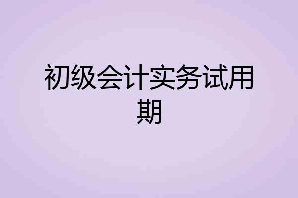 初级会计实务试用期