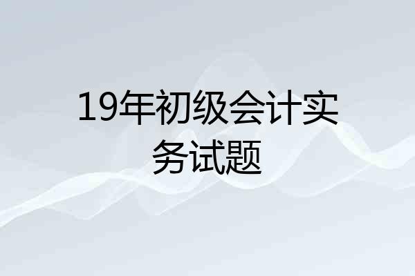 19年初级会计实务试题