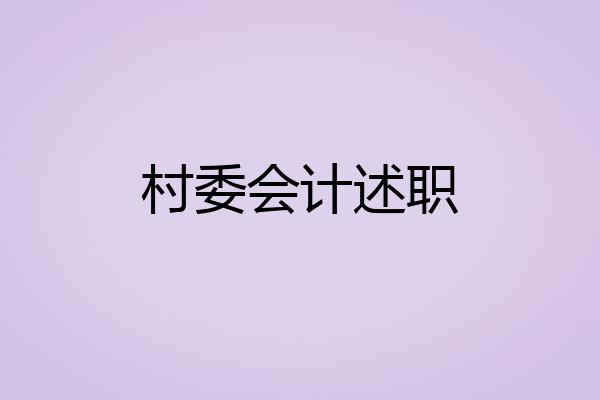 村委会计述职