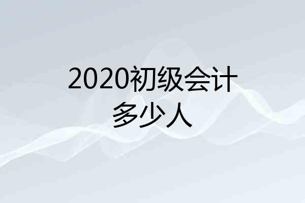 2020初级会计多少人