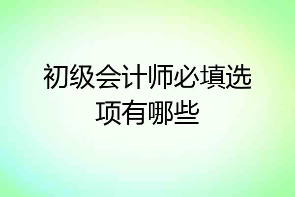 初级会计师必填选项有哪些