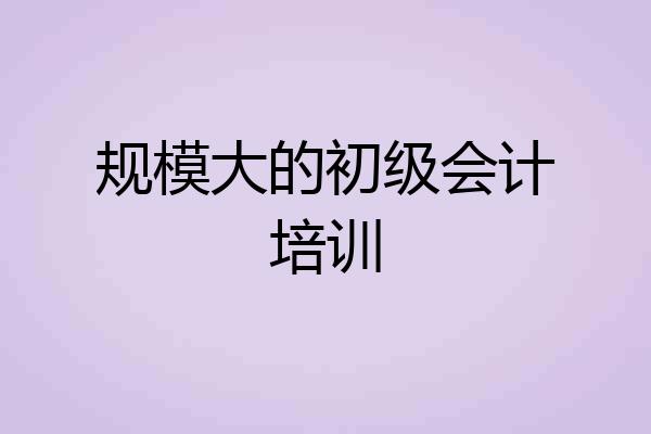 规模大的初级会计培训
